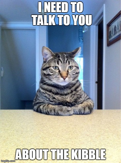This cat says he needs to talk to you about the kibble